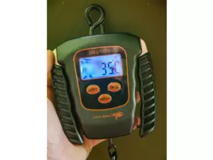 Giants fishing Digitální váha Digital Scale 50kg +neoprenový obal ZDARMA!