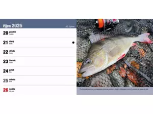 Stolní rybářský kalendář na rok 2025