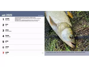 Stolní rybářský kalendář na rok 2025