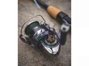 Daiwa Naviják 24 Regal LT