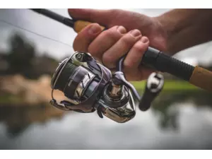 Daiwa Naviják 24 Regal LT