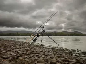 Giants fishing Stojan Luxury Rod Pod 3 Rods