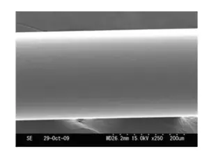 P-Line vlasec Floroclear 1000 m ø 0,25 mm 7,47 kg VÝPRODEJ