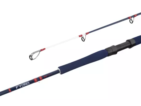 Delphin FYORD BigBOAT