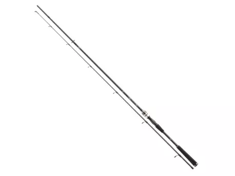 Daiwa Prut Exceler spin 2,25m 5 - 20g