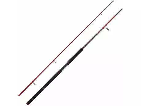 PENN Squadron III Catfish Allround 3,00 m 100-300 g