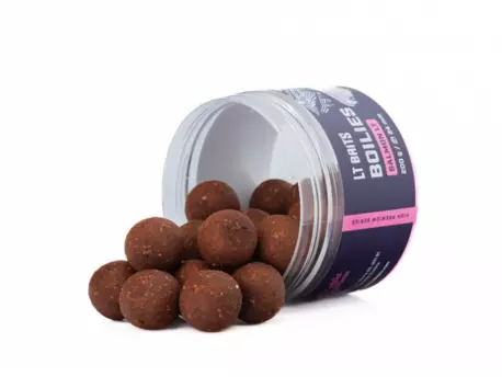 LT BAITS Boilies Salmon LT Premium 200g