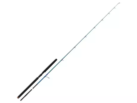 Savage Gear Prut SGS2 Offshore Plug 2,59m 100-200gr VÝPRODEJ