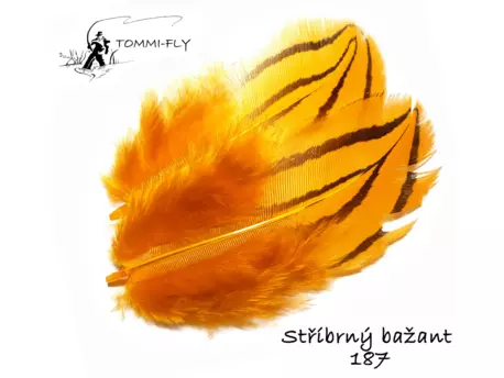 Tommi Fly PEŘÍ STŘÍBRNÉHO BAŽANTA - oranžové
