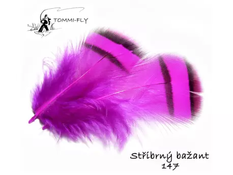 Tommi Fly PEŘÍ STŘÍBRNÉHO BAŽANTA - fialové