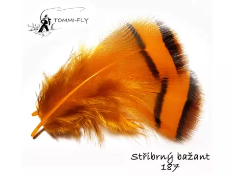 Tommi Fly PEŘÍ PEŘÍ STŘÍBRNÉHO BAŽANTA KRČNÍ - oranžové