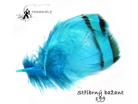 Tommi Fly PEŘÍ PEŘÍ STŘÍBRNÉHO BAŽANTA KRČNÍ - tyrkysové