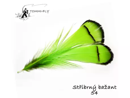 Tommi Fly PEŘÍ PEŘÍ STŘÍBRNÉHO BAŽANTA KRČNÍ - fluo zelené