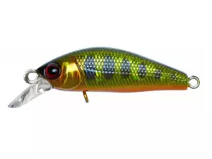 HL Gold Trout