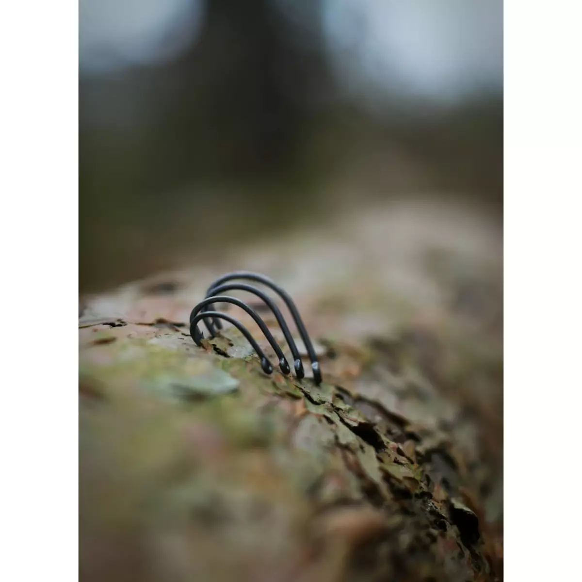 GIANTS FISHING Wide Gap