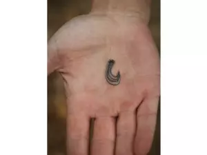 GIANTS FISHING Wide Gap