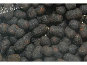 LK Baits Plovoucí Dumbel peletka Mussel 55 g