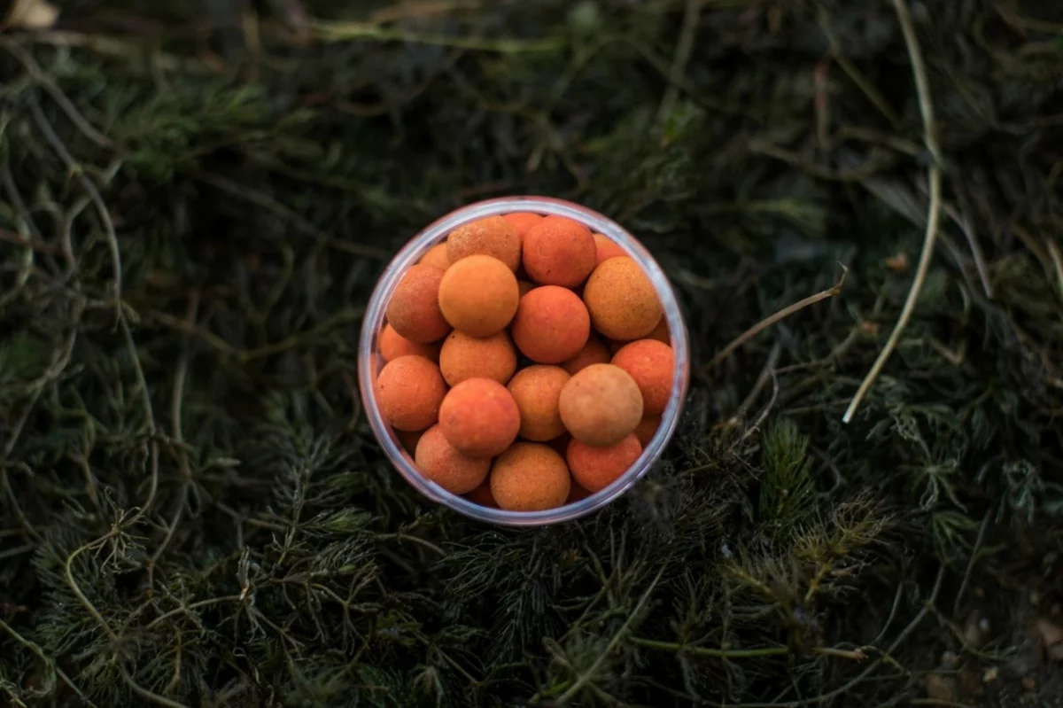 LK Baits Pop-up Euro Economic Chilli Squid 18mm+ dip