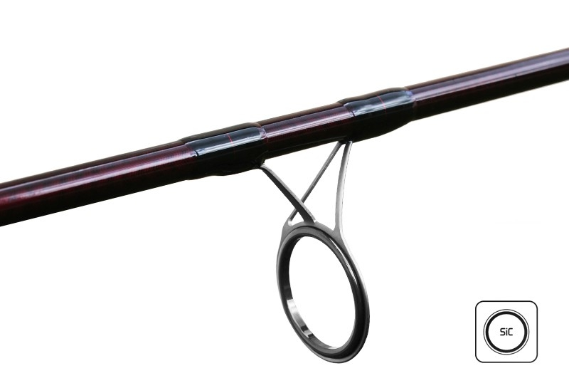 Delphin ETNA II Next gen