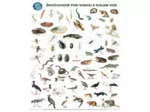 Plakát Živočichové pod vodou a kolem vod s lištami na pověšení