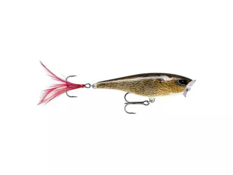 RAPALA Skitter Pop Top Water Fresh 05 FML