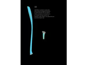 JP sumcová vábnička Černá 10