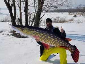 GABY Polštářek Štika monster 200 cm