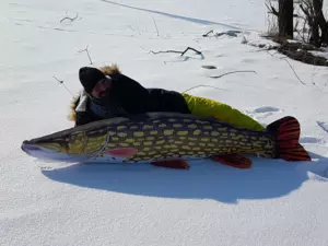 GABY Polštářek Štika monster 200 cm