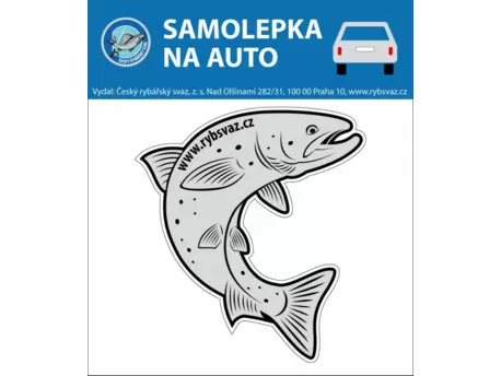 Samolepka na auto - pstruh