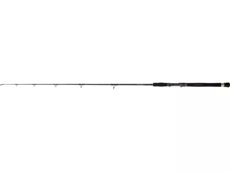 BLACK CAT prut 1,70m Cat Buster Vertical 100g-200g