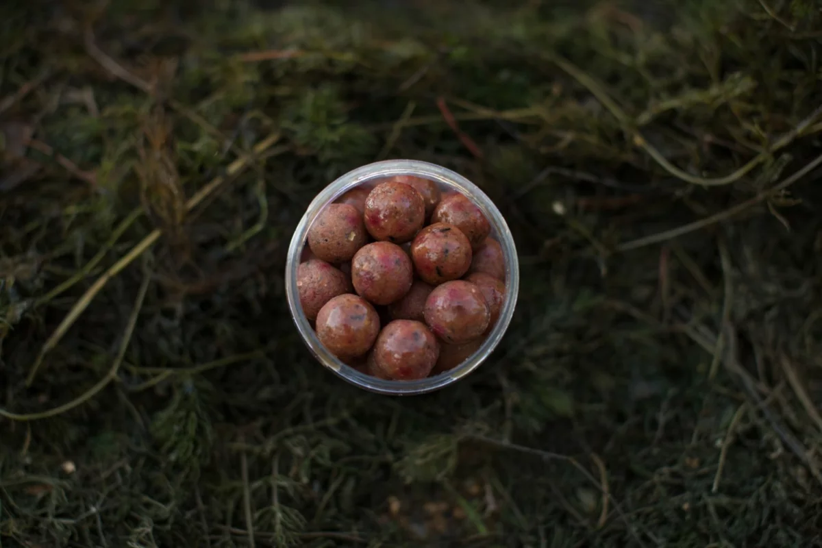 LK Baits Fresh Boilie Restart Mussel 14mm 150ml