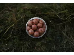 LK Baits Fresh Boilie Restart Mussel 14mm 150ml